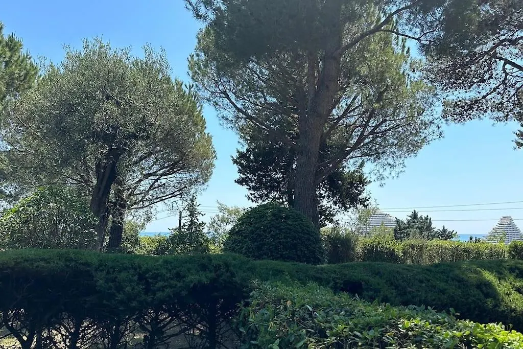 Studio Climatise Avec Piscine-Tennis-Parking Villeneuve-Loubet 0*,